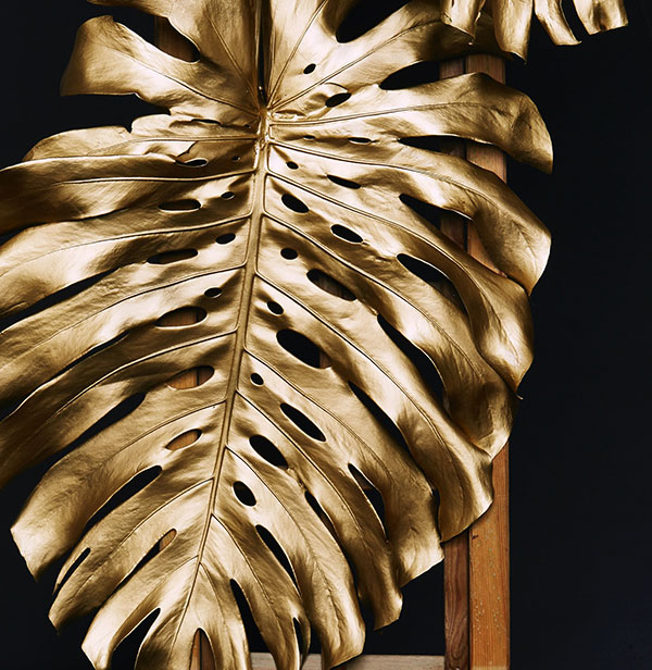 virtual-product-img2 d